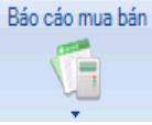 Hướng dẫn chức năng báo cáo mua bán hàng