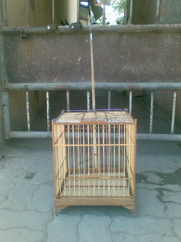 Anh-dep-me-26716.aspx