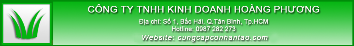 Cung Cấp Cỏ Nhân Tạo Cho Dự Án, Trường Mầm Non, Khu Thể Hình, Biệt Thự